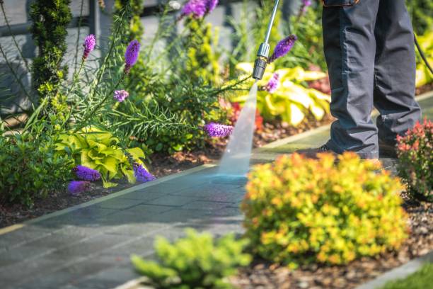 Best Animal Enclosure Cleaning  in Montague, CA